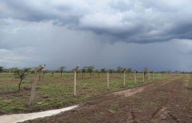 Peakview Gardens Nanyuki Phase 2